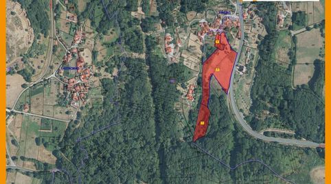 Se venden tres fincas rústicas en A Peza, Celanova, immagine 4