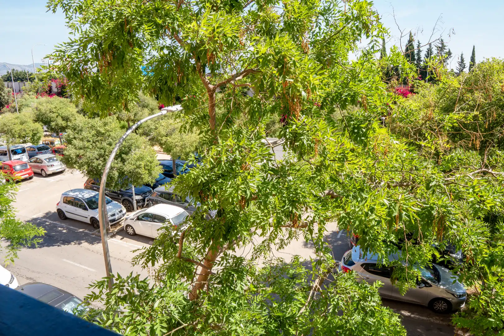 Vista exterior de Piso en venta en  Palma de Mallorca con Balcón