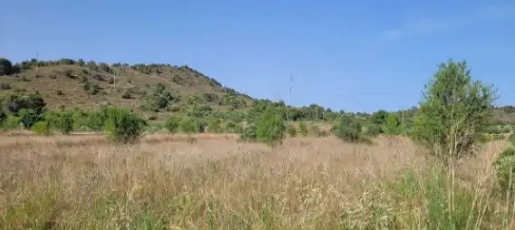Rural land for sale in Pt Paraje Bolavar, imagen 7