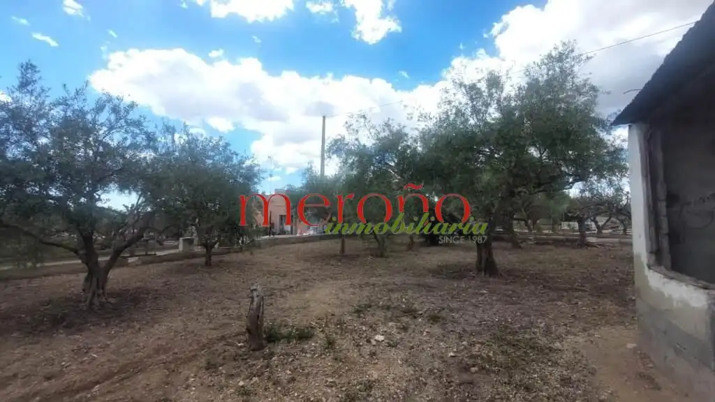 Casa o chalet en venta en Elche / Elx