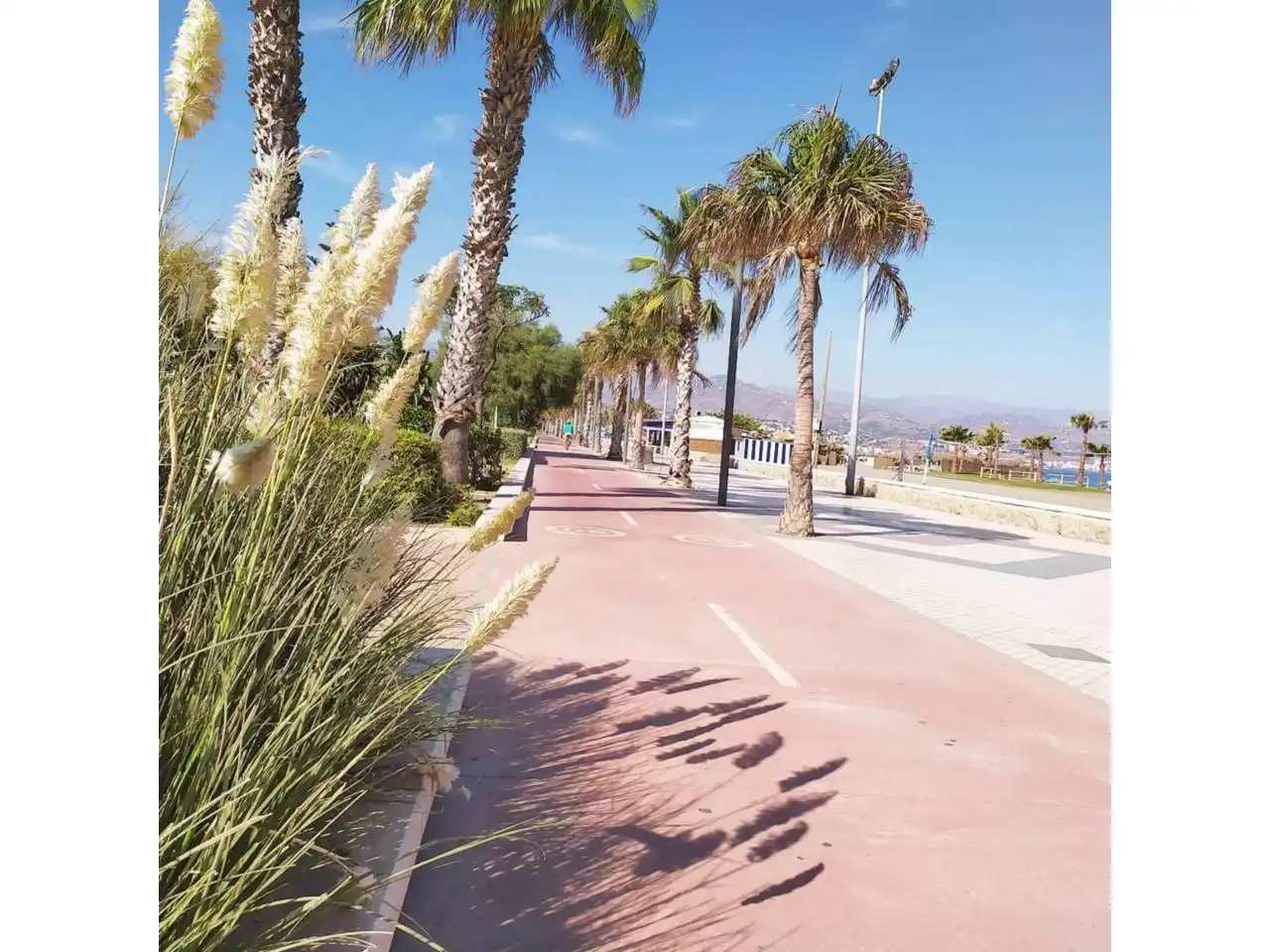 Vista exterior de Estudio en venta en Vélez-Málaga