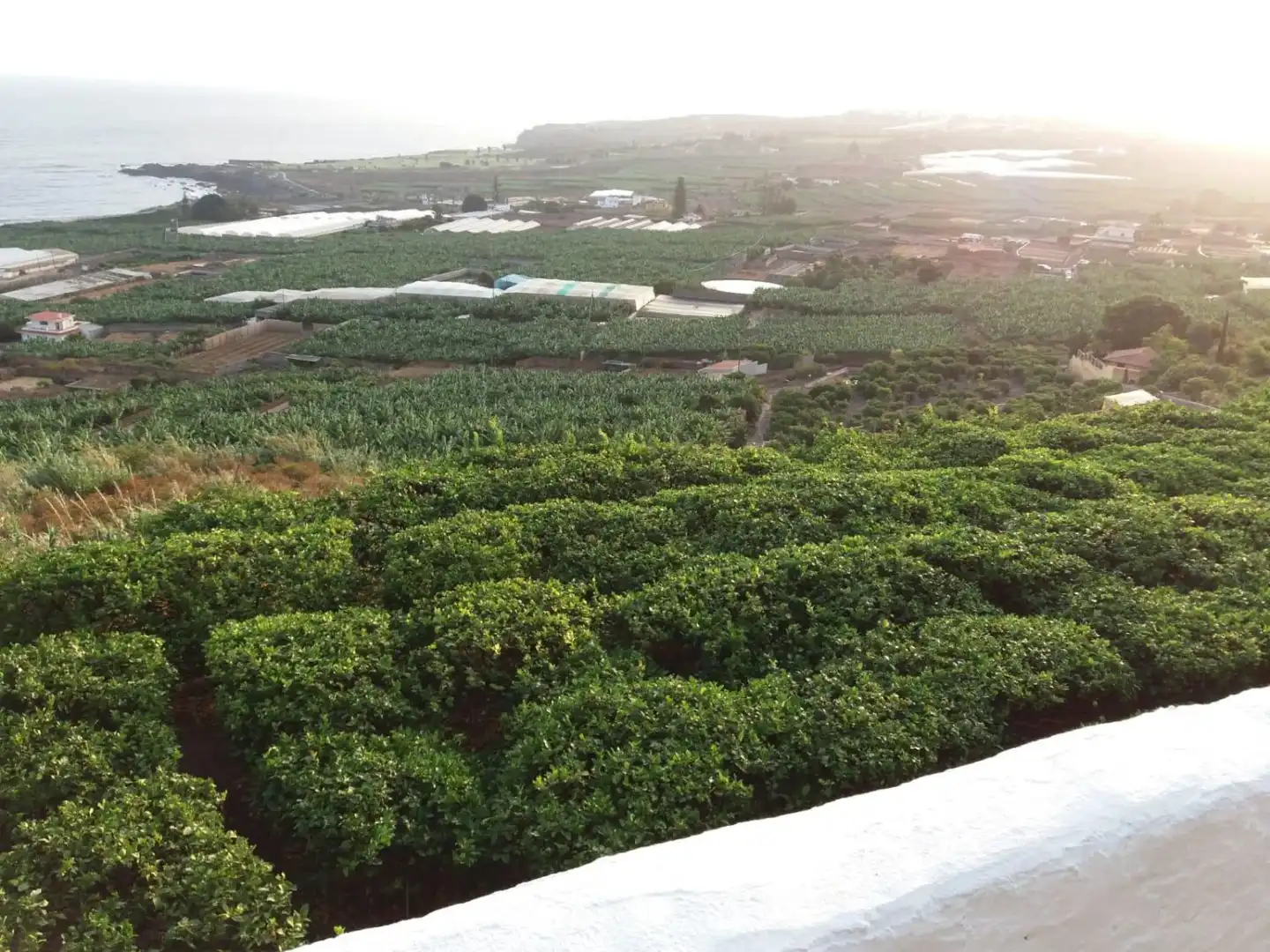 Casa rustica in vendita a Buenavista del Norte, imagen 30
