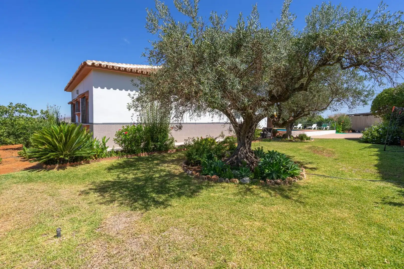 Villa mit Pool zur Miete in Centro, imagen 35