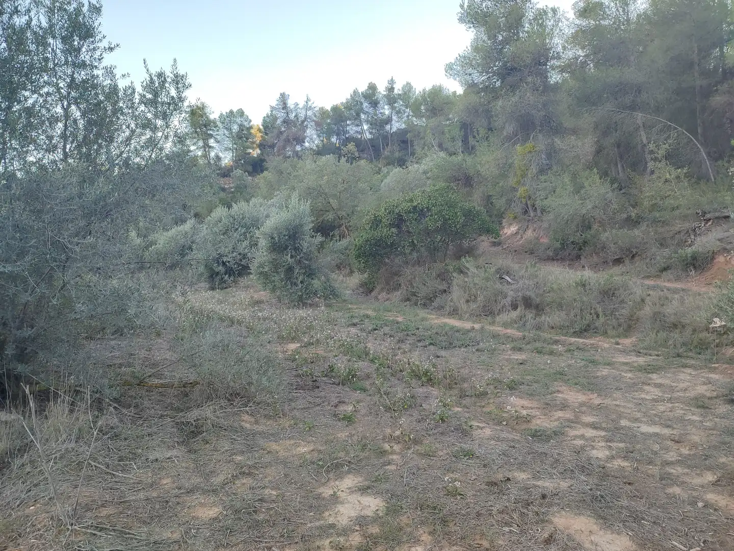 Terreno rústico en venta en L'Albagés, imagen 29