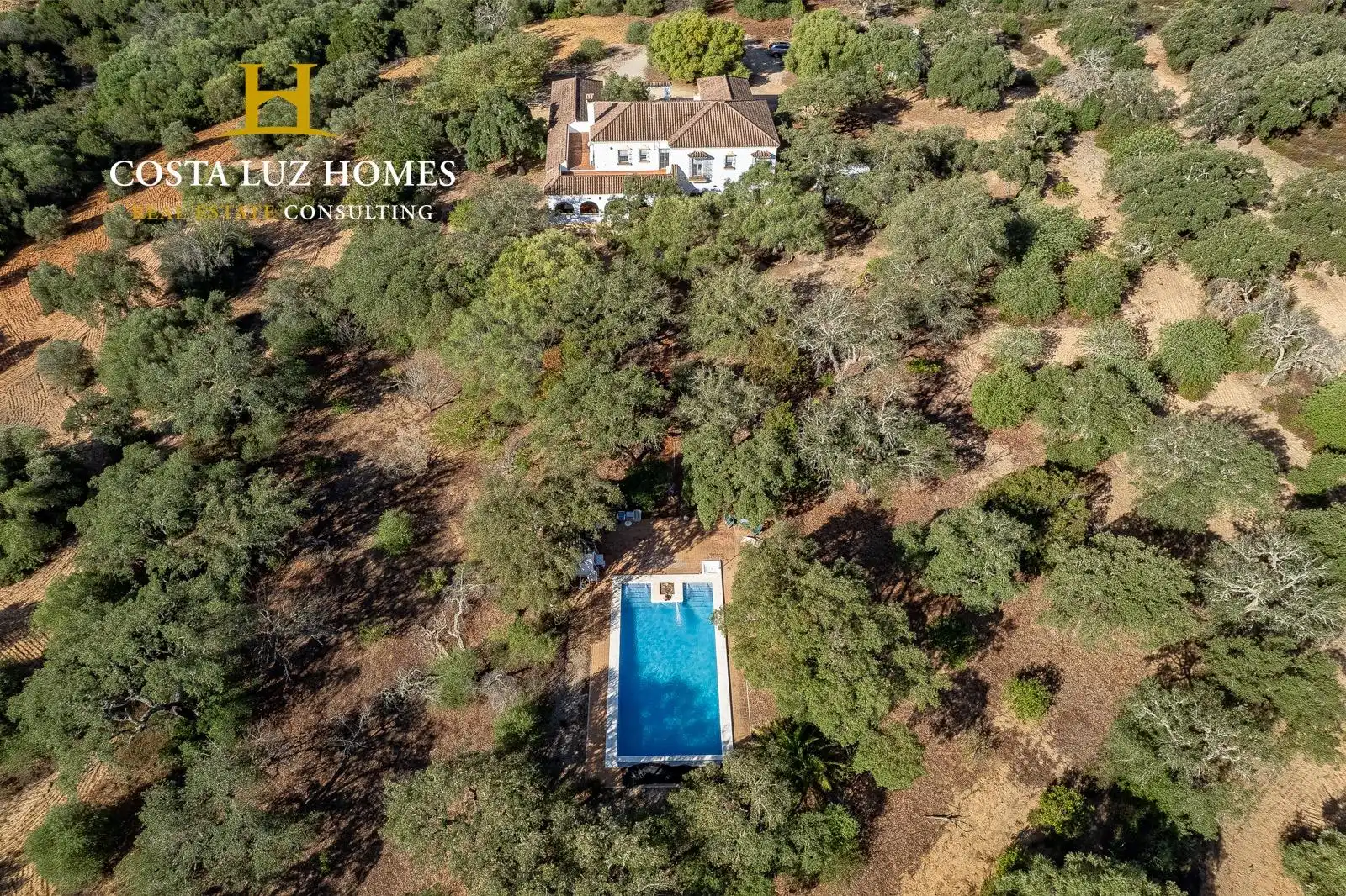 Casa rústica amb piscina en venda a Arcos de la Frontera, imagen 32