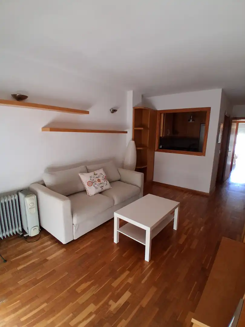 Living room of Apartments for rent in  Palma de Mallorca  with Air Conditioner, Parquet flooring and Furnished