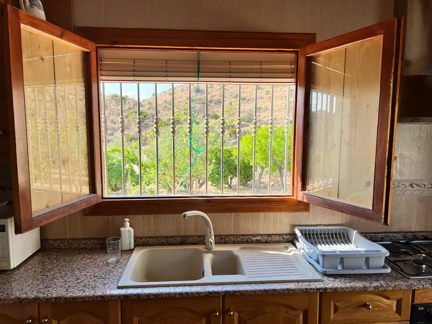 Finca rústica en venda a Barriada el Pinar, 5, Bédar