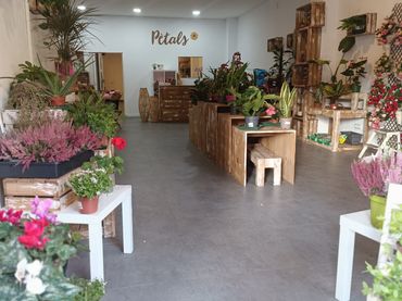 Local comercial en traspaso en Ronda Francesc Macià 84