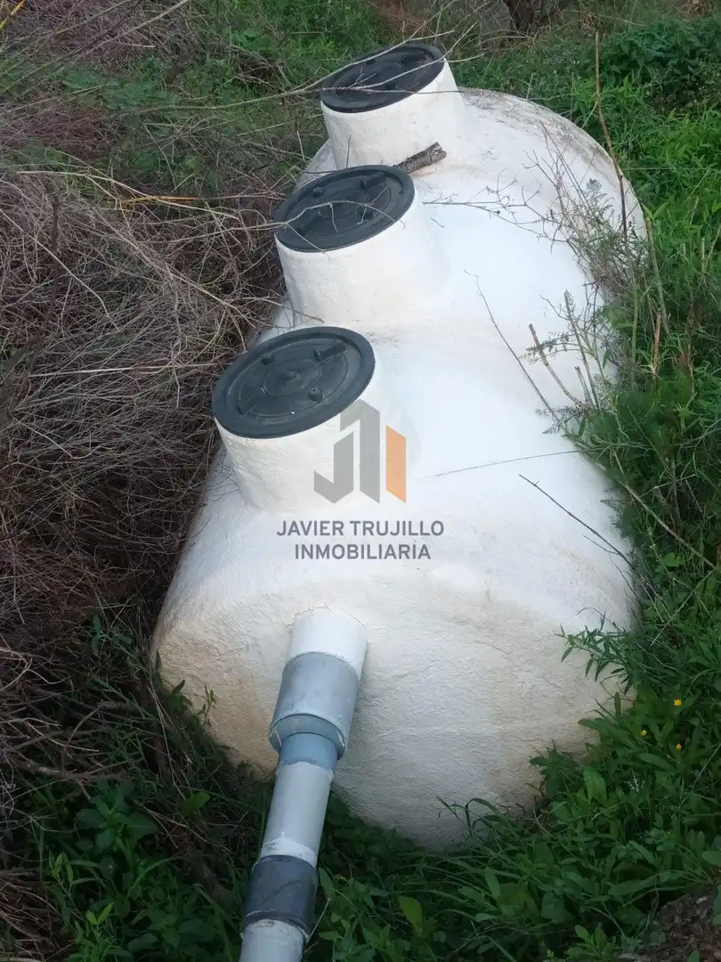 Jardín de Finca rústica en venta en Cútar con Terraza, Trastero y Piscina