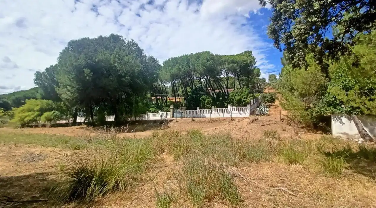 Lands and plots for sale in Campamento, imagen 9