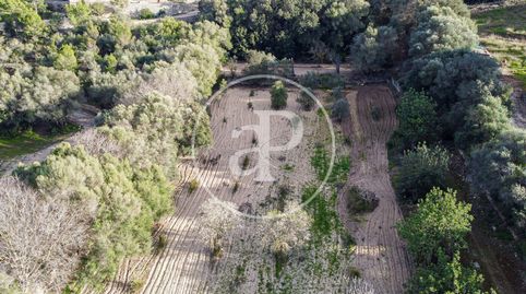 Foto 4 de Residencial en venta en Carrer Son Niu, Santa Margalida Poble, Santa Margalida