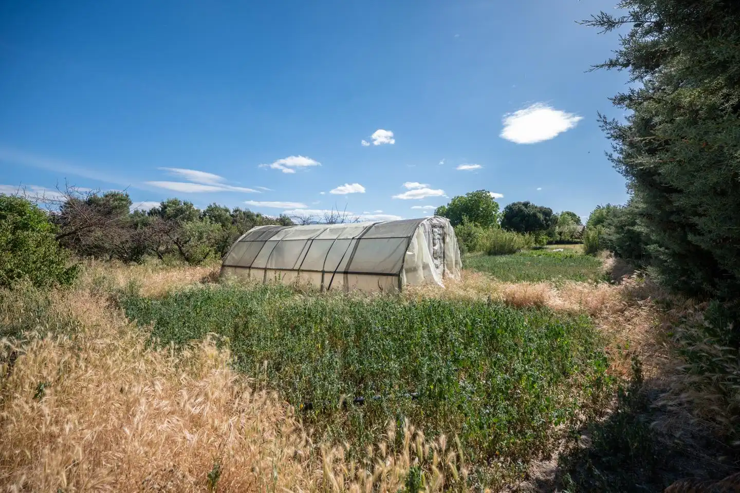 Country homes for sale in Gemuño  with Private garden, Terrace and Swimming Pool