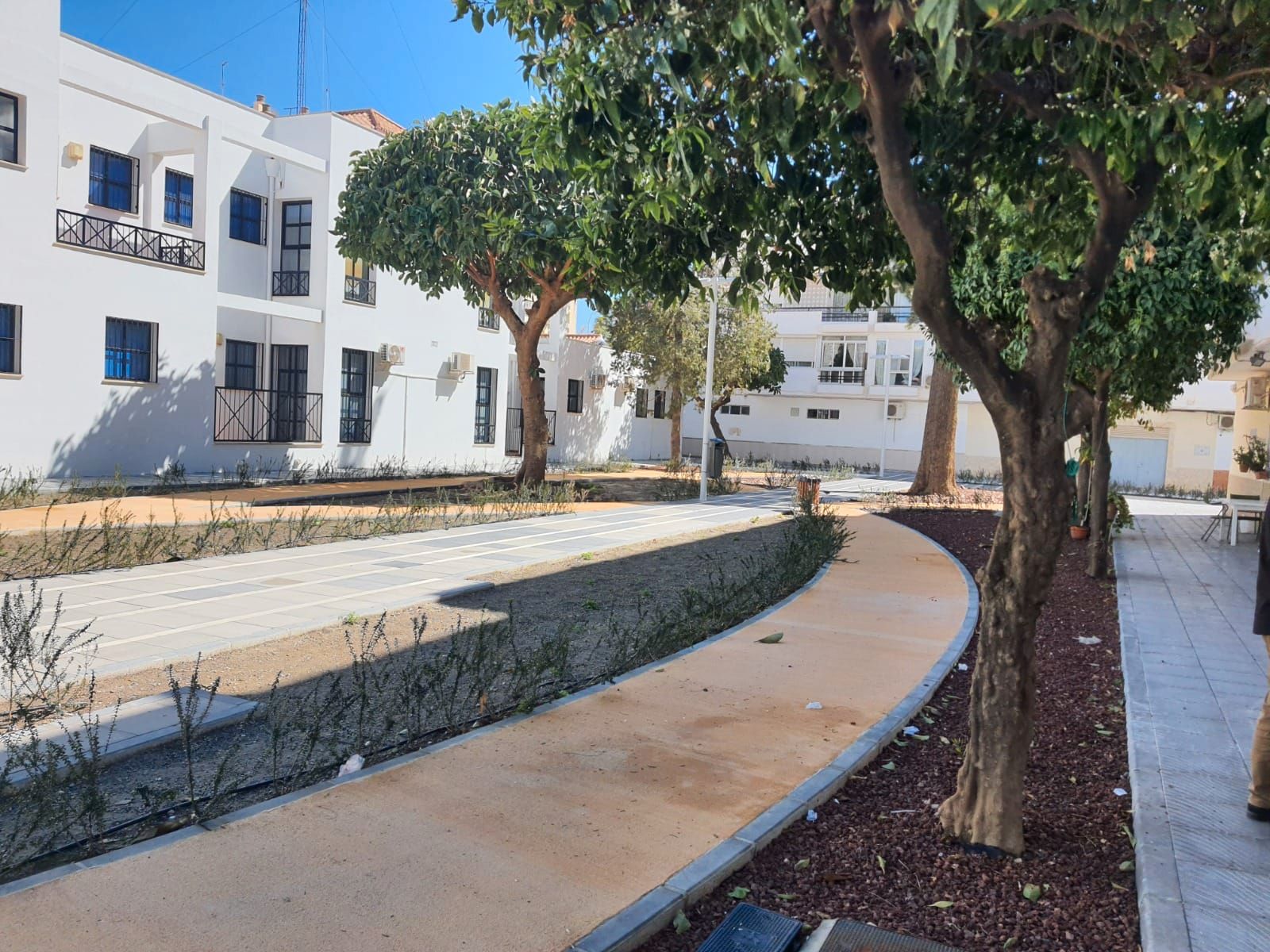 Local en venta en Calle Miguel Hernández, Centro
