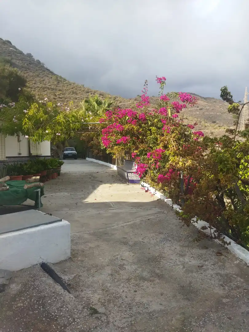 Vista exterior de Finca rústica en venda en Almuñécar amb Jardí privat, Terrassa i Piscina