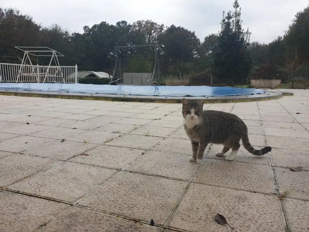 Casa o xalet en venda a laias, Cenlle