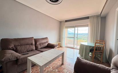 Sala d'estar de Pis en venda en Plasencia amb Rentadora, Microones i Balcó