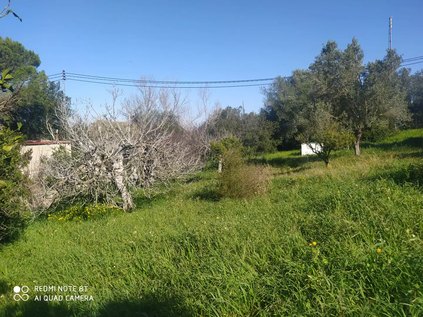 Houses for sale in Chiclana de la Frontera  with Private garden, Terrace and Storage room