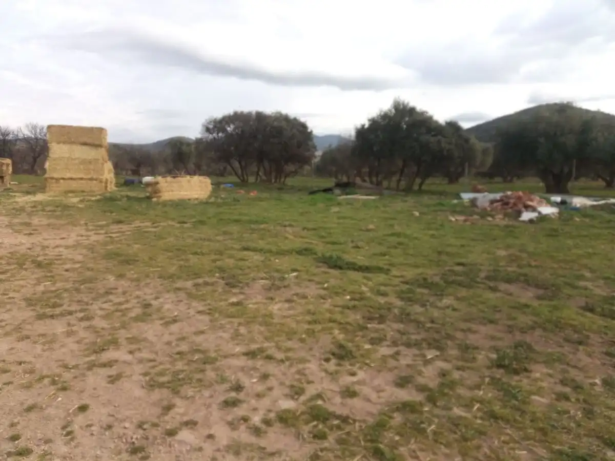Finca rústica en venta en Fuente el Fresno