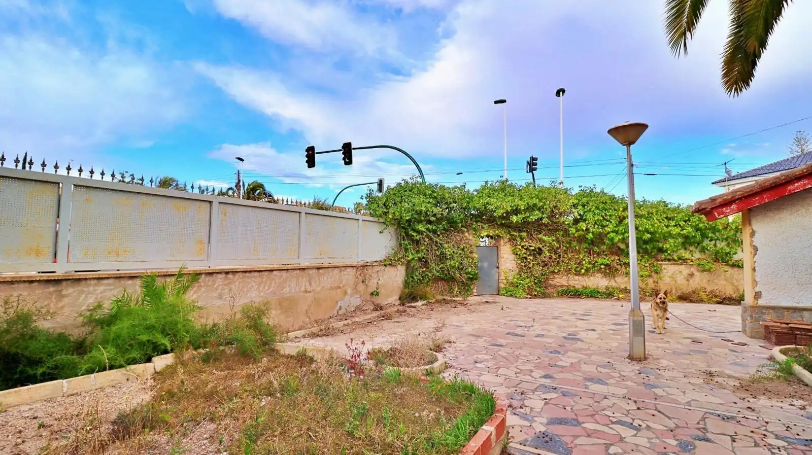 Vista exterior de Casa o xalet en venda en Elche / Elx amb Terrassa
