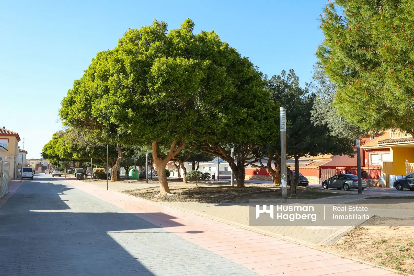 Exterior view of Detached homes for sale in Torre-Pacheco