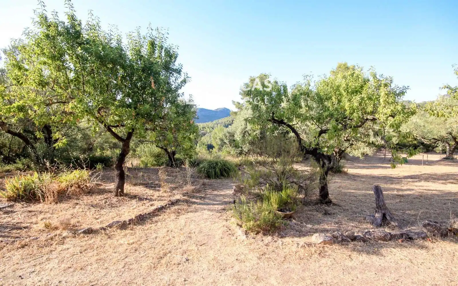 Finca rústica en venta en Benifallet con Calefacción, Trastero y Amueblado