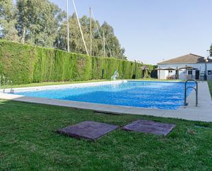 Piscina de Pis de lloguer en Gelves amb Aire condicionat, Calefacció i Jardí privat