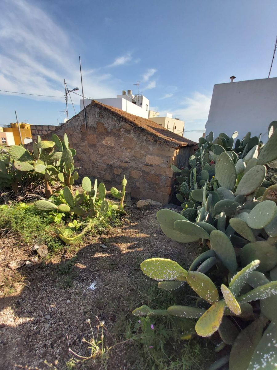 Garden of Country house for sale in San Miguel de Abona