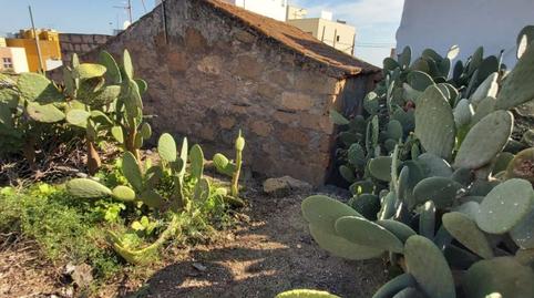 Foto 2 de Finca rústica en venda a Tf-28, San Miguel, Santa Cruz de Tenerife