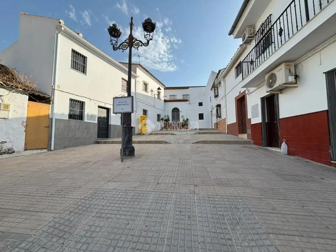 Exterior view of Detached homes for sale in Osuna