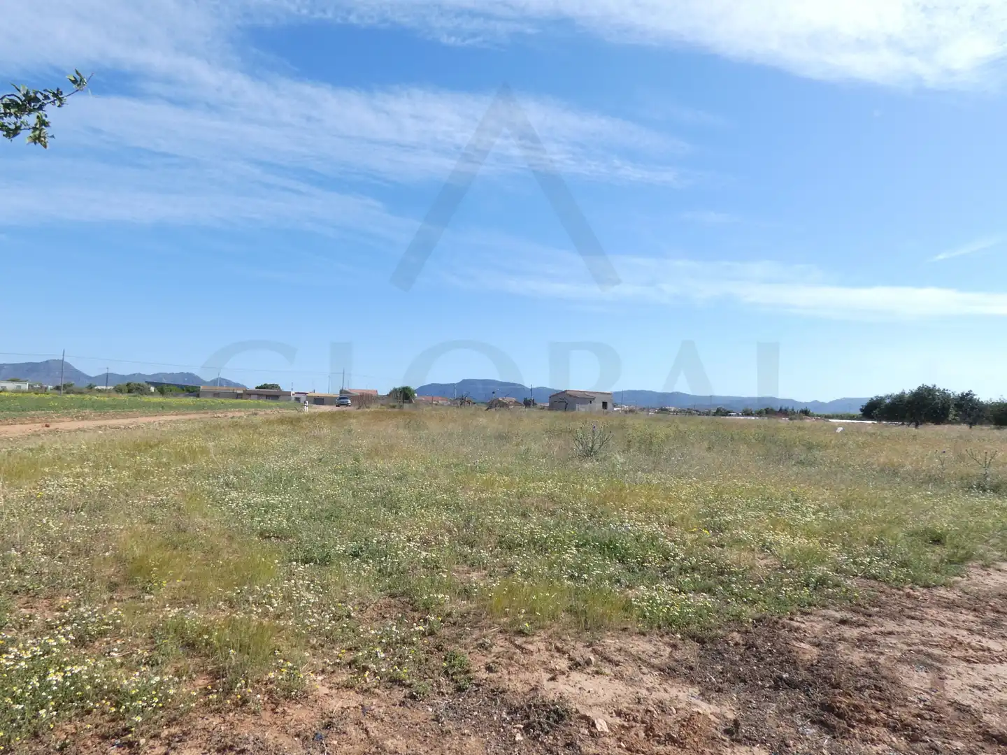 Terreni e lotti in vendita a Pedanías Oeste, imagen 20