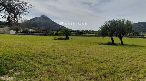 Foto 4 de Finca rústica en venta en Ma-13, 6, Ciutat d'Alcúdia, Alcúdia