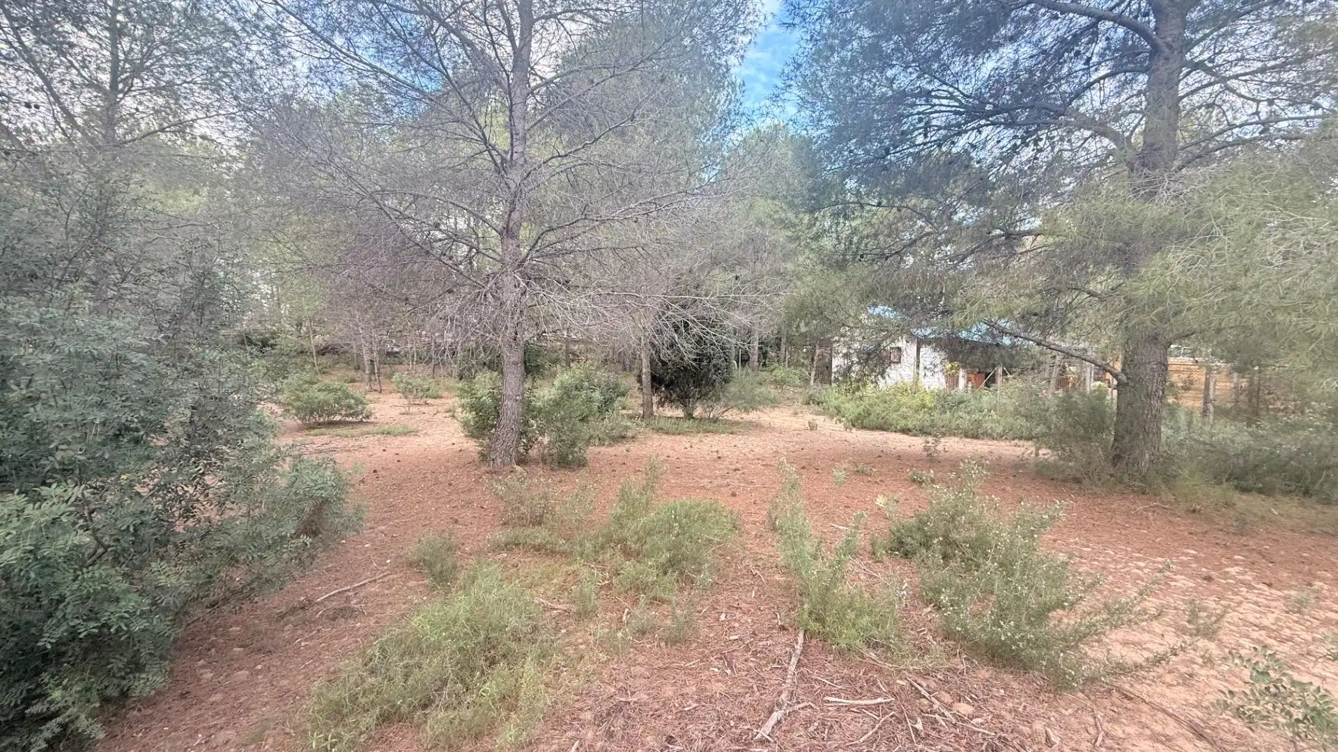 Terreny residencial en venda a Albalat dels Tarongers, imagen 9