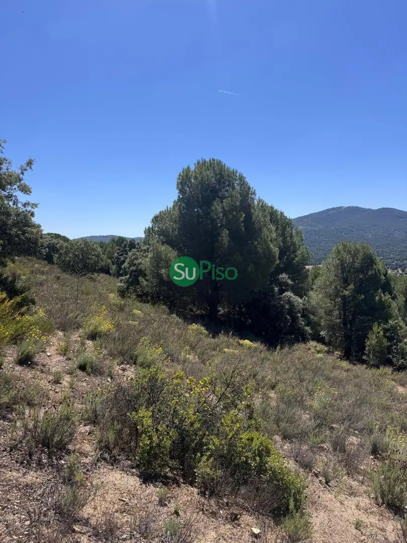 Casa o xalet en venda en San Martín de Valdeiglesias amb Jardí privat