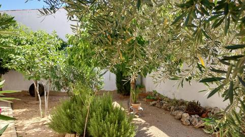 Photo 4 of House or chalet for sale in Alatoz, Albacete