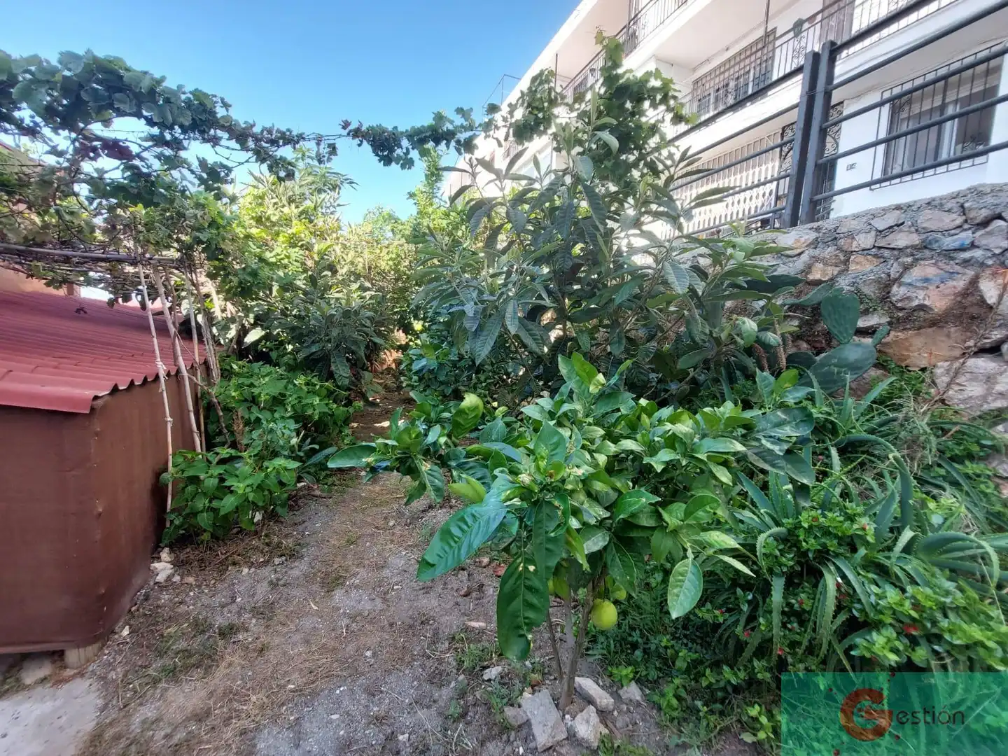 House for sale in Centro, imagen 15