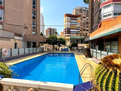 Swimming pool of Flat for sale in Benidorm  with Air Conditioner and Community pool