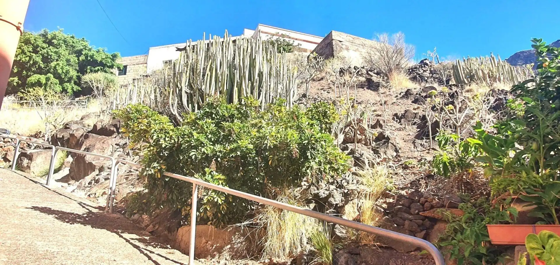 Garden of Residential for sale in Santa Cruz de Tenerife