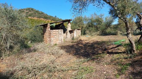 Foto 5 de Pis en venda a Lora del Río, Sevilla