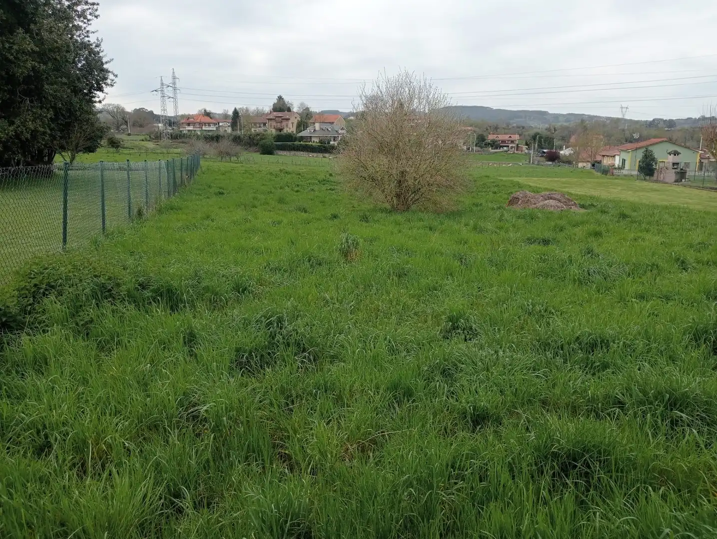 Detached homes for sale in Reocín