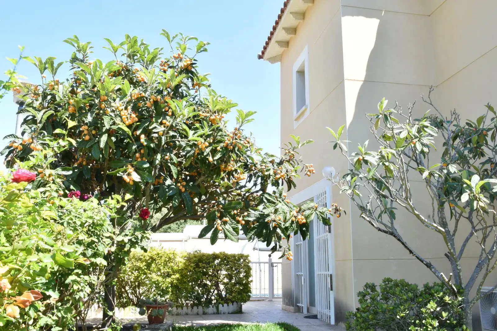 Jardí de Casa o xalet en venda en El Vendrell amb Aire condicionat, Calefacció i Terrassa