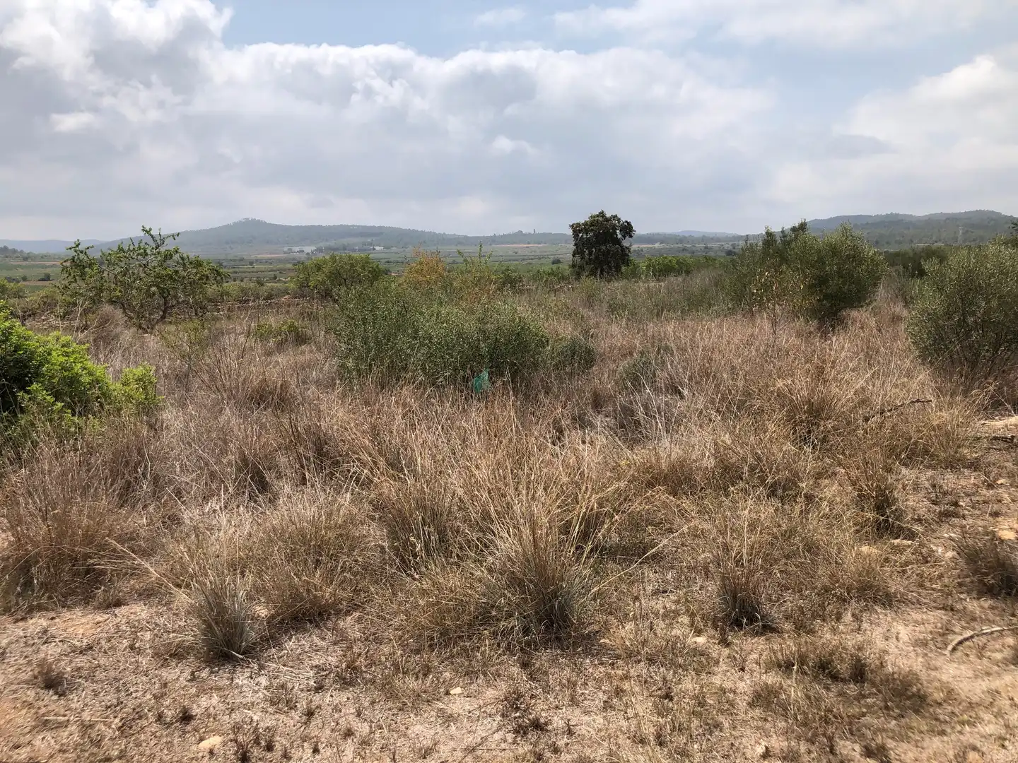 Terreno rústico en venta en Camí de Masllorenç, imagen 8