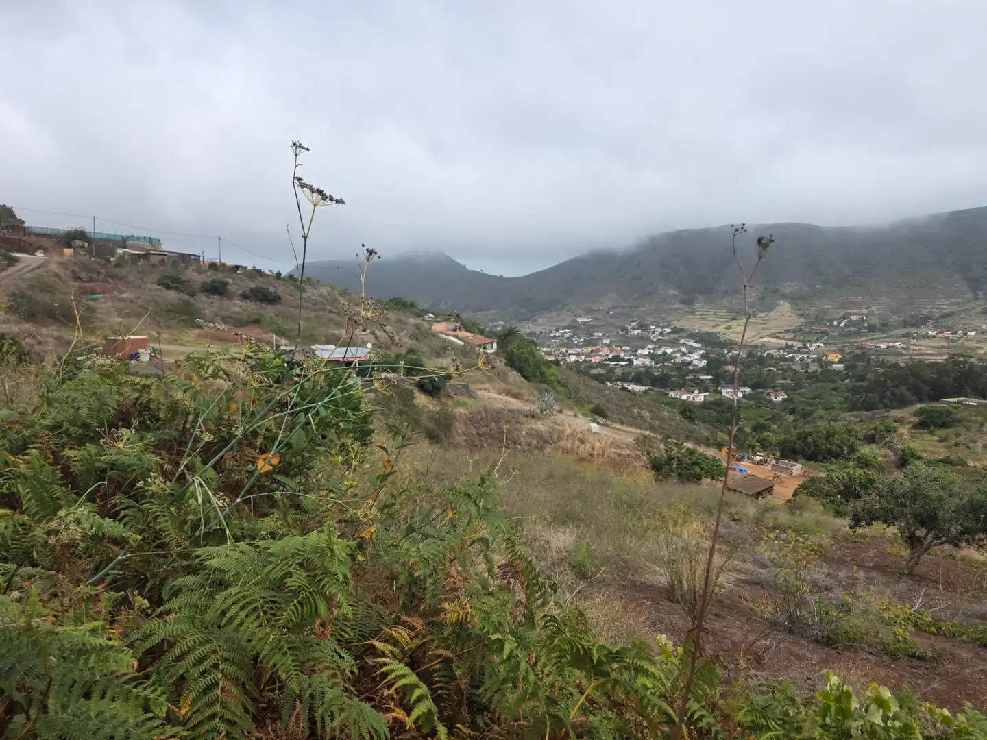 Rural land for sale in Camino las Peñuelas 11, imagen 14