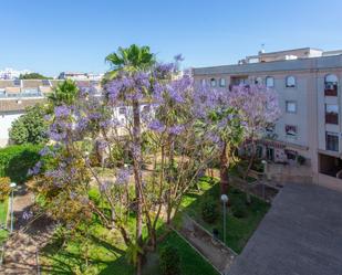 Garden of Flat for sale in Jerez de la Frontera  with Air Conditioner, Private garden and Terrace