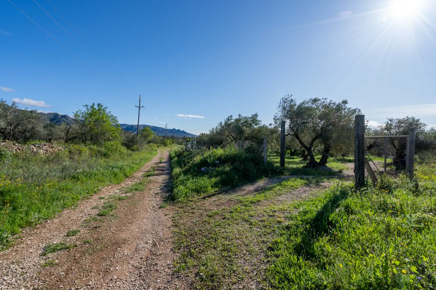 Terreno en venta en Rossell, Castellón