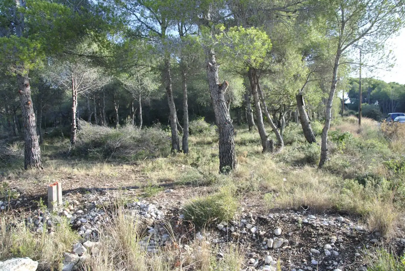 Grundstücke und Bauplätze zum Verkauf in Mas Trader - Corral d'En Tort - Corral d'En Cona, imagen 22