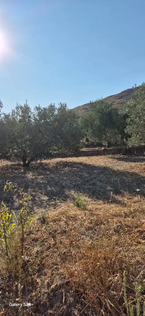 Terreno en venta en Lagunilla del Jubera