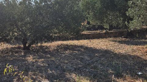 Foto 2 de Terreno en venta en Lagunilla del Jubera, La Rioja