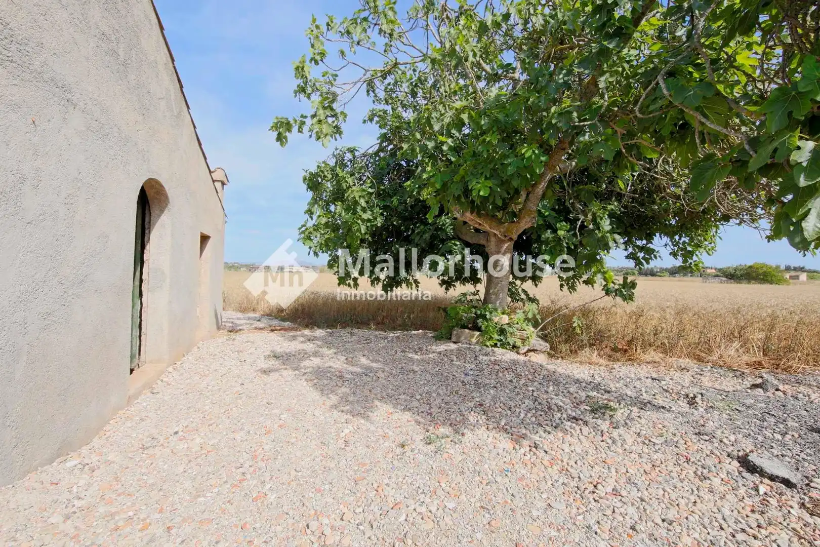 Lands and plots for sale in Polígono 10, imagen 7
