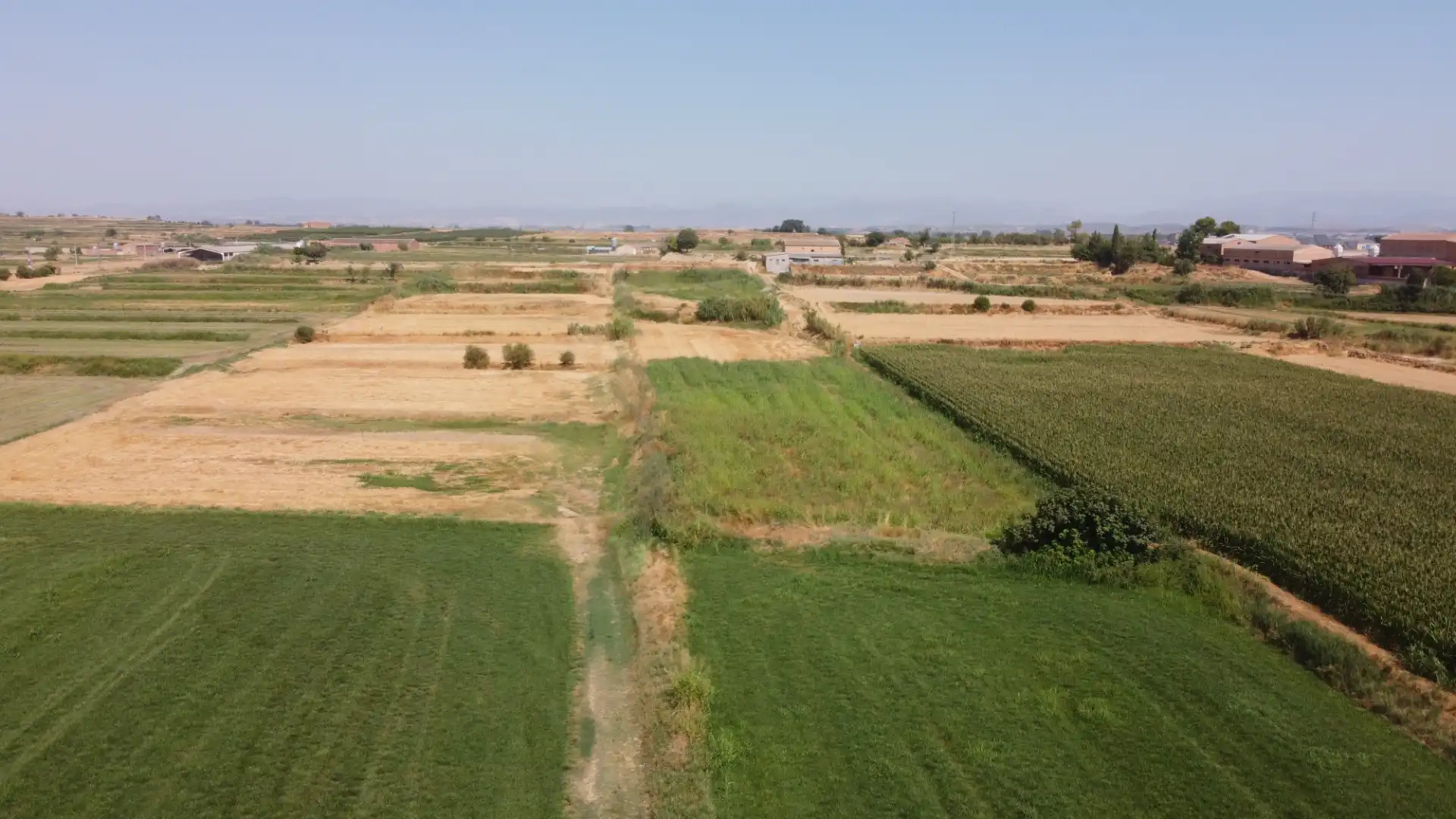 Land for sale in Linyola