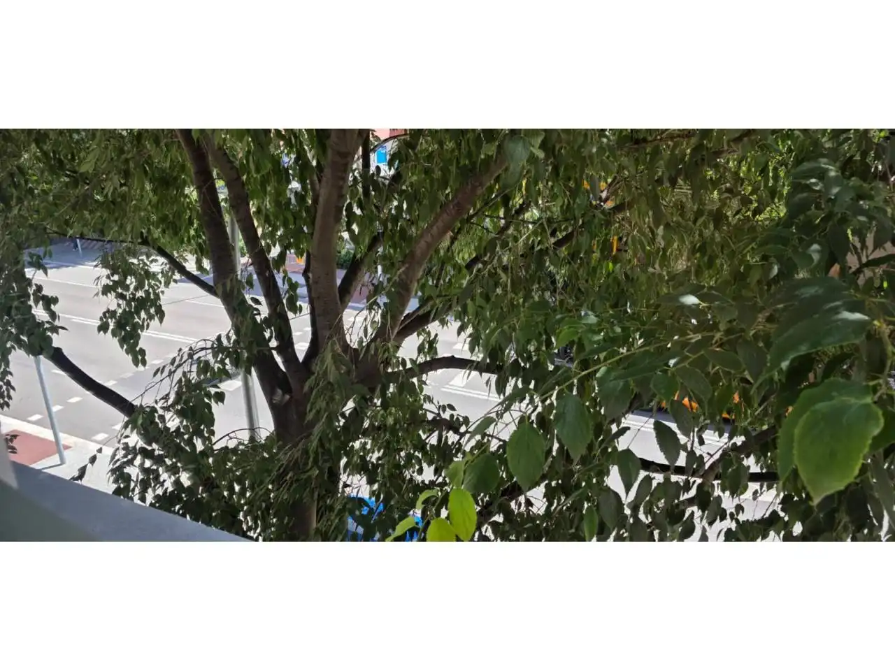 Vista exterior de Piso en venta en Granollers con Calefacción, Terraza y Amueblado